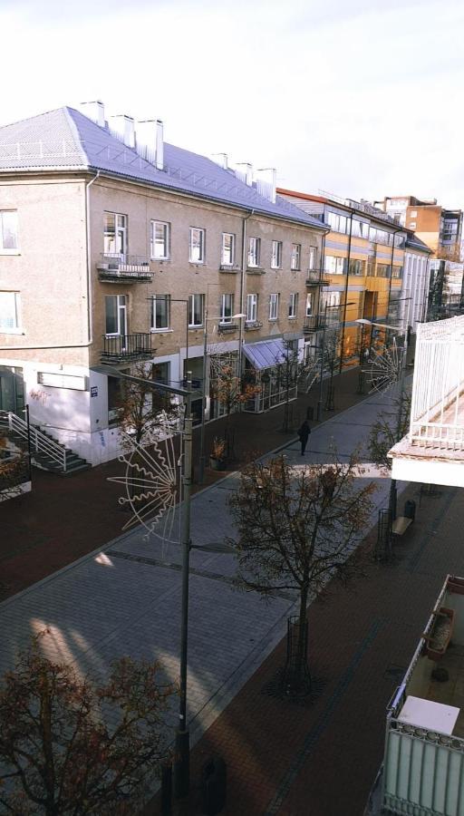 Downtown Apartment Rentals Šiauliai Buitenkant foto