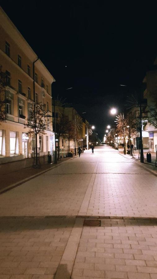Downtown Apartment Rentals Šiauliai Buitenkant foto